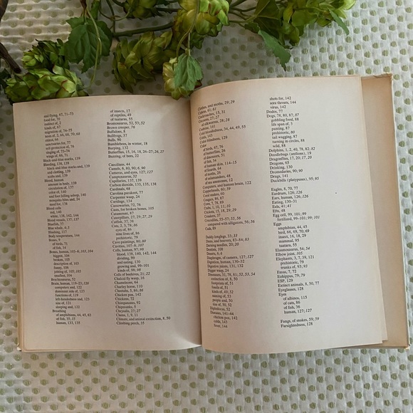 Charlie Brown’s Book of Questions & Answers - Picture 7 of 9